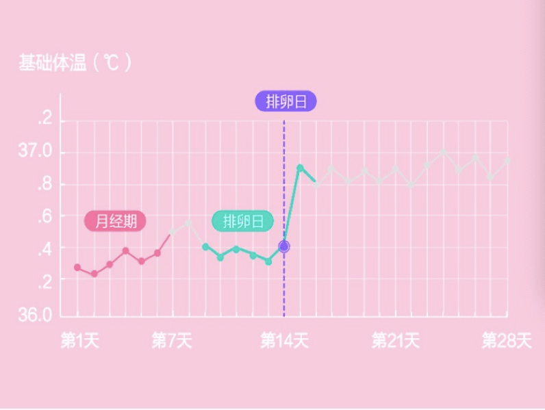 女性一天的体温变化图图片