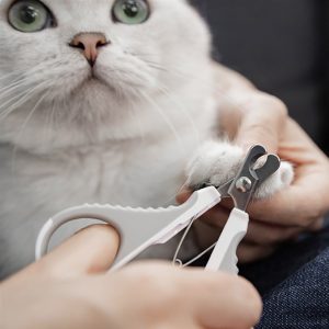 product_奇妙_pawbby猫用斜口指甲剪