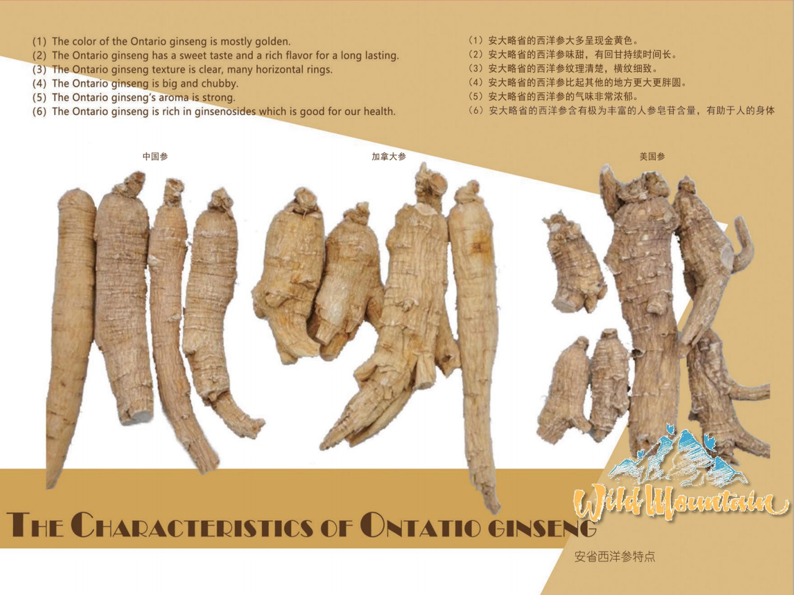 Product_奇妙_Wild Mountain野山牌加拿大安大略西洋参】圆粒 每颗10g左右 227g:盒 A-3_