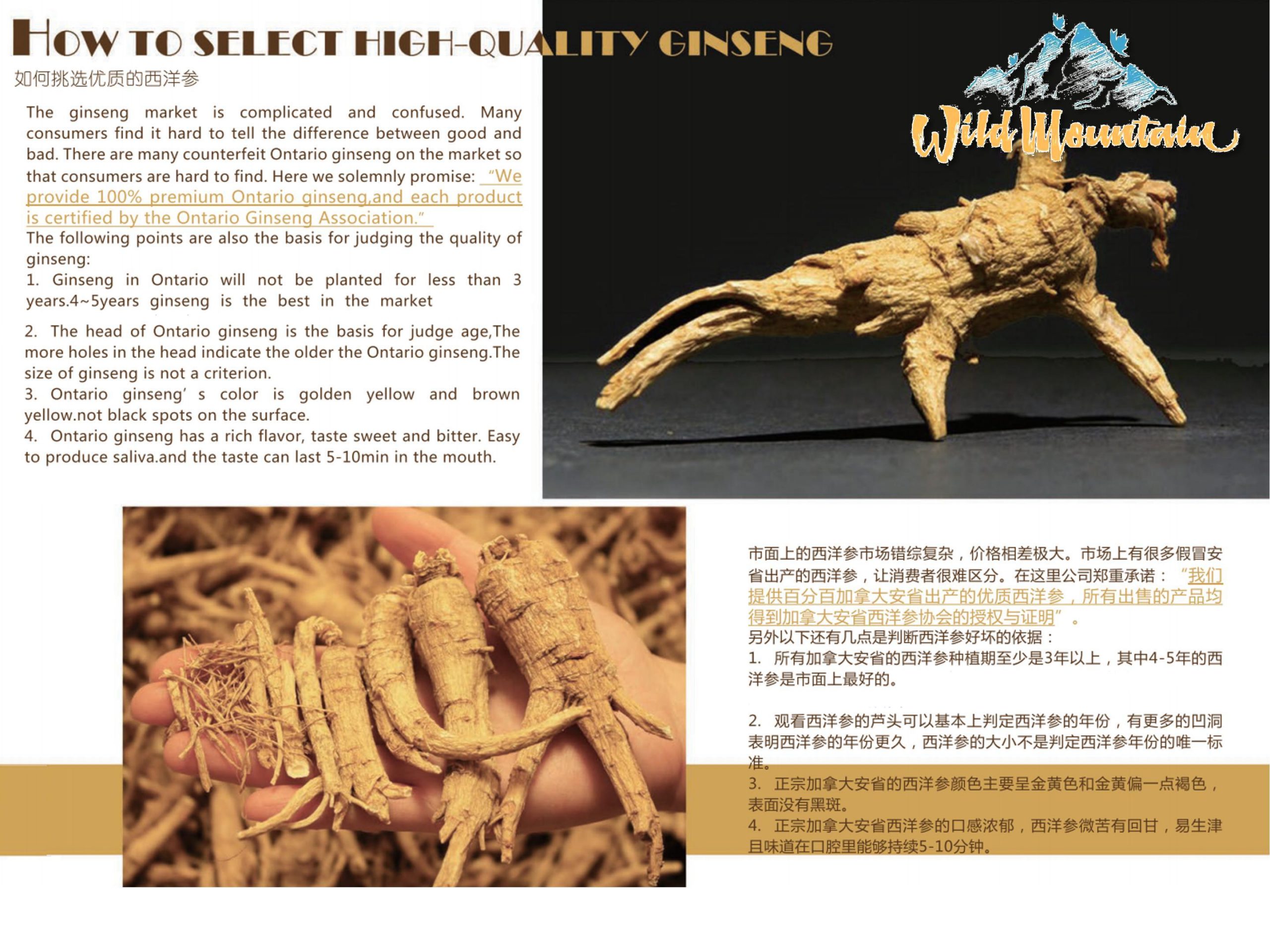 Product_奇妙_Wild Mountain野山牌加拿大安大略西洋参】圆粒 每颗10g左右 227g:盒 A-3_