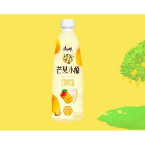 奇妙零食-康师傅轻养果荟芒果小酪500ml