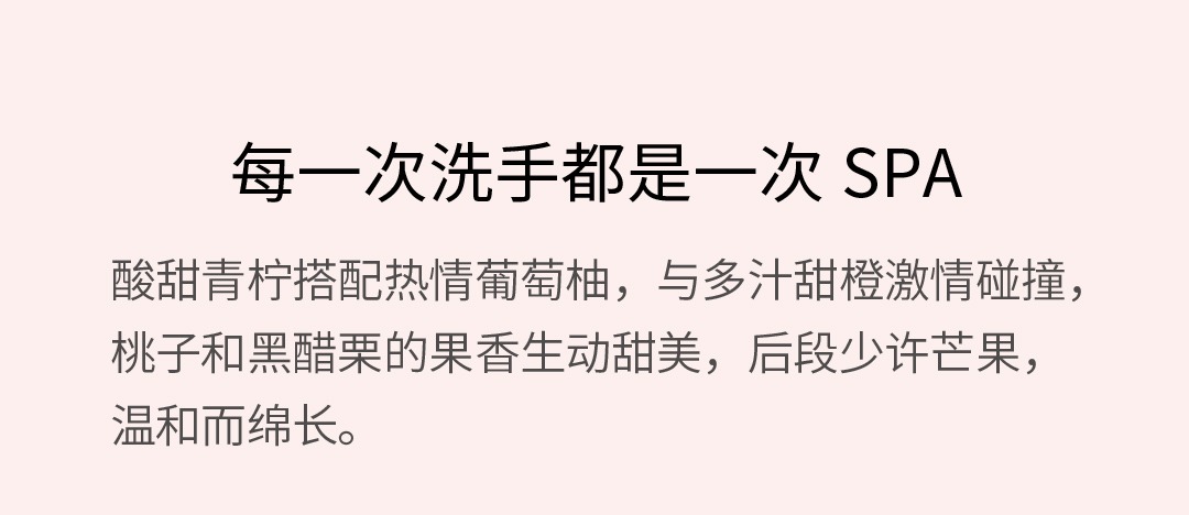 Simpleway小卫质品泡沫免洗抗菌洗手液1